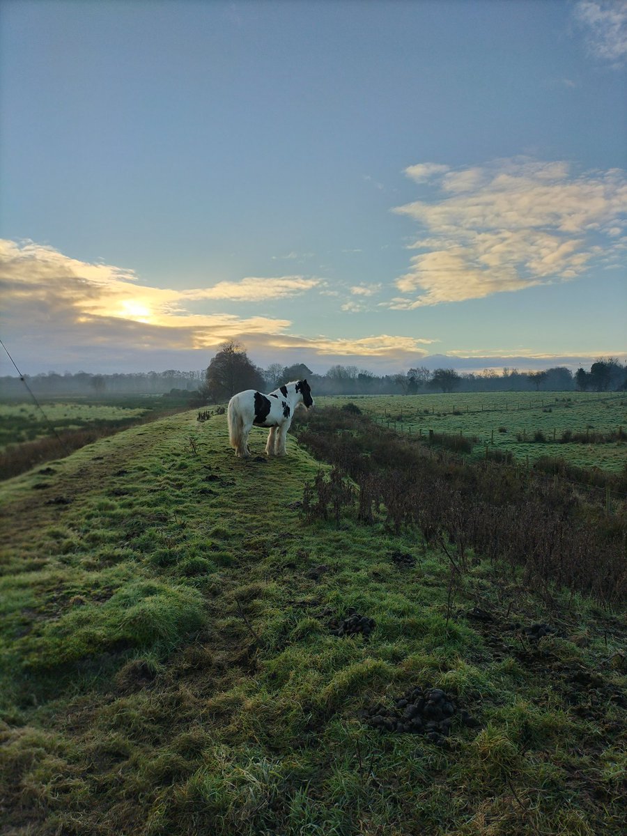 Ciaran McClean tweet media