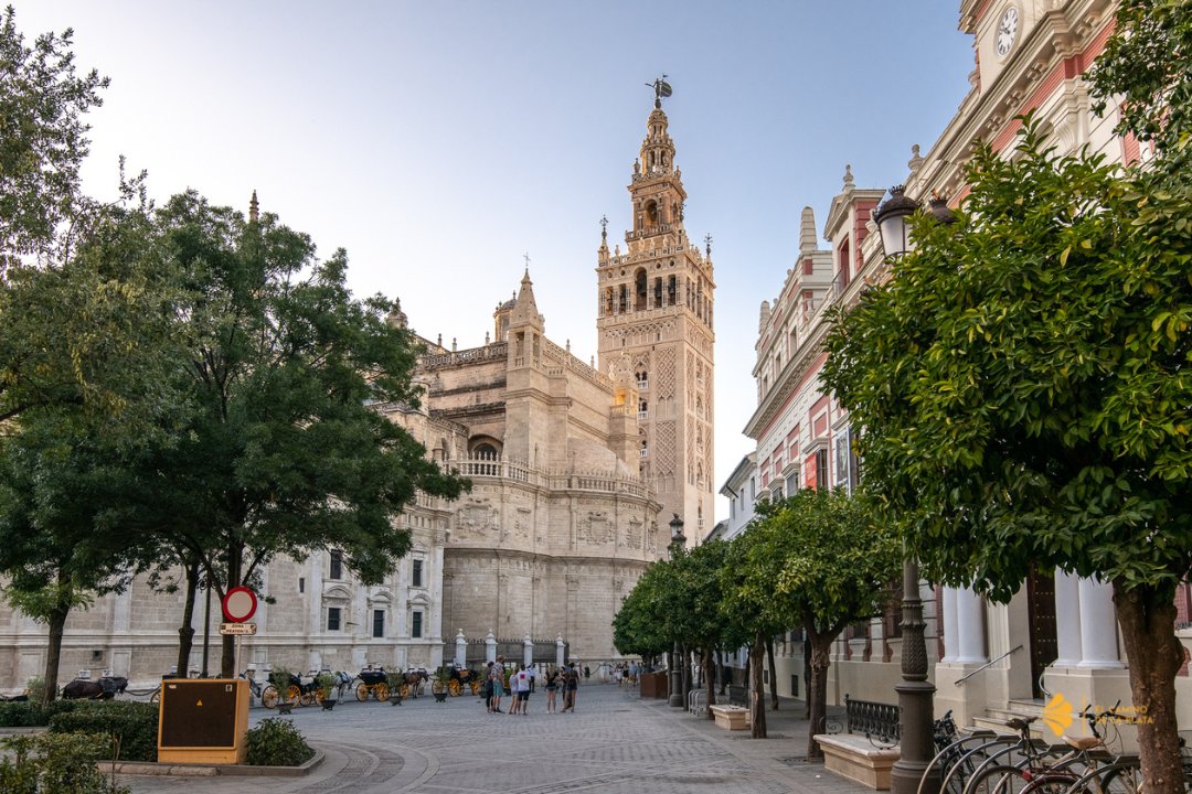 💫La #CatedraldeSevilla y sus misteriosas puertas 

🙌🏻 El templo religioso cuenta con nueve puertas por las que descubrir su riqueza patrimonial.Algunas de ellas esconden misterios con una historia legendaria ⏳

¿Sabrías decirnos sus nombres?☝🏻

<a href="/SevillaPAC/">Sevilla Patrimonio</a> <a href="/sevillaciudad/">Sevilla</a>