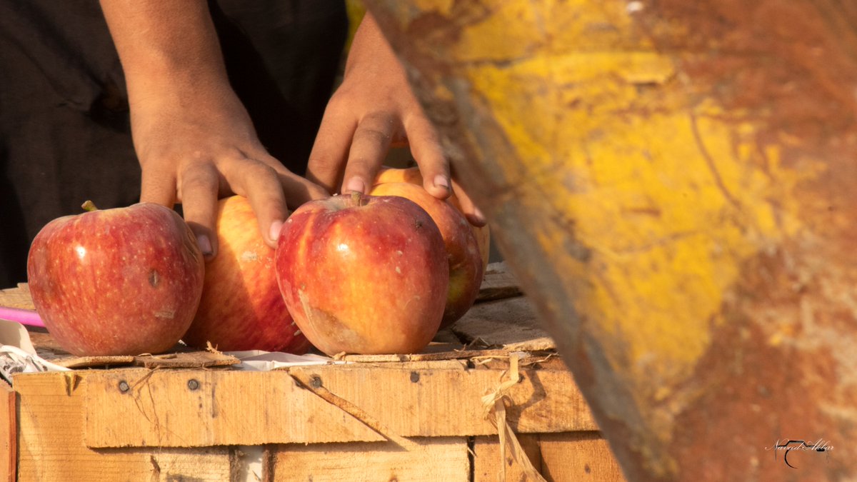 Naveeedakbar's tweet photo. APPLES by TRASH
click by @Naveeedakbar 

#apples #applesbytheroad #roadside #trash #trashbin #citylife #lifeisgood #lifeontheroad #lifeonthestreets #fruits #fruitlover #fruitandveg  #goodphotography #Beauty #beautiful #beautifulday #beautifulphotos #beautifulphotography #yellow https://t.co/pGRAiqTxB2