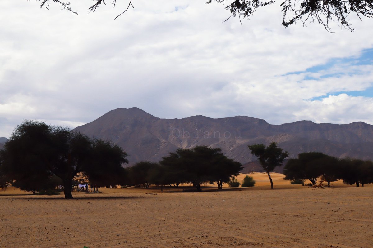 Obianou's tweet photo. Les montagnes 🗻 dans l'Oasis Tezerzet à 90km d'Iferouane.
#Tourisme #voyage #patrimoine #culture #visitagadez #désert #Masnat #tourismeinterne #Tezerzet #Agadez
📸 : Décembre 2022 https://t.co/O69We2OWNi