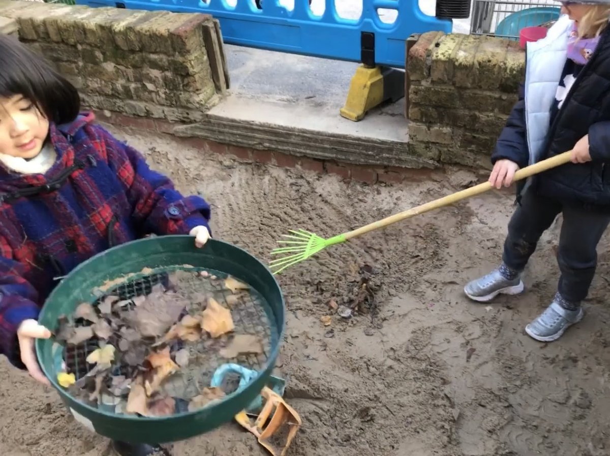 Separating leaves &amp; tidying the sand ⁦<a href="/green_columbia/">Green Room</a>⁩