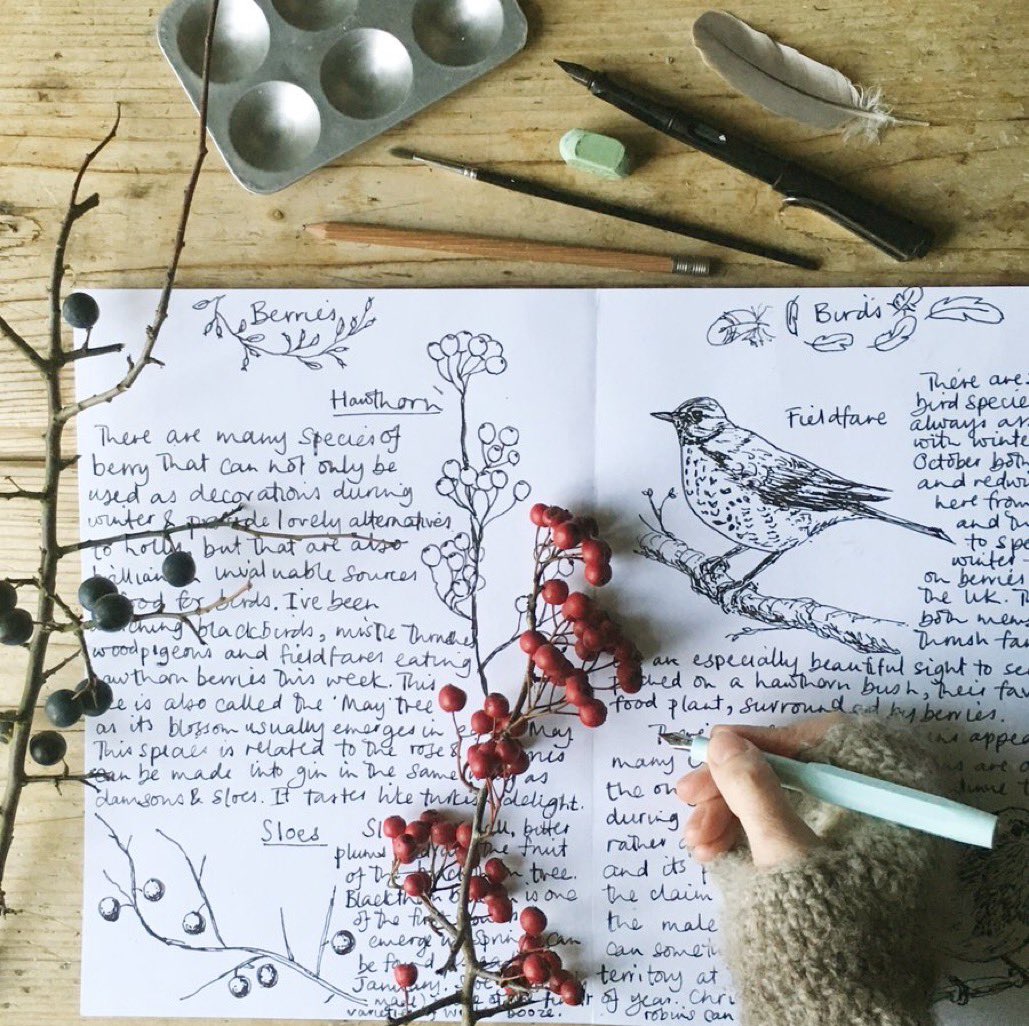 Emma Mitchell 💙 tweet media