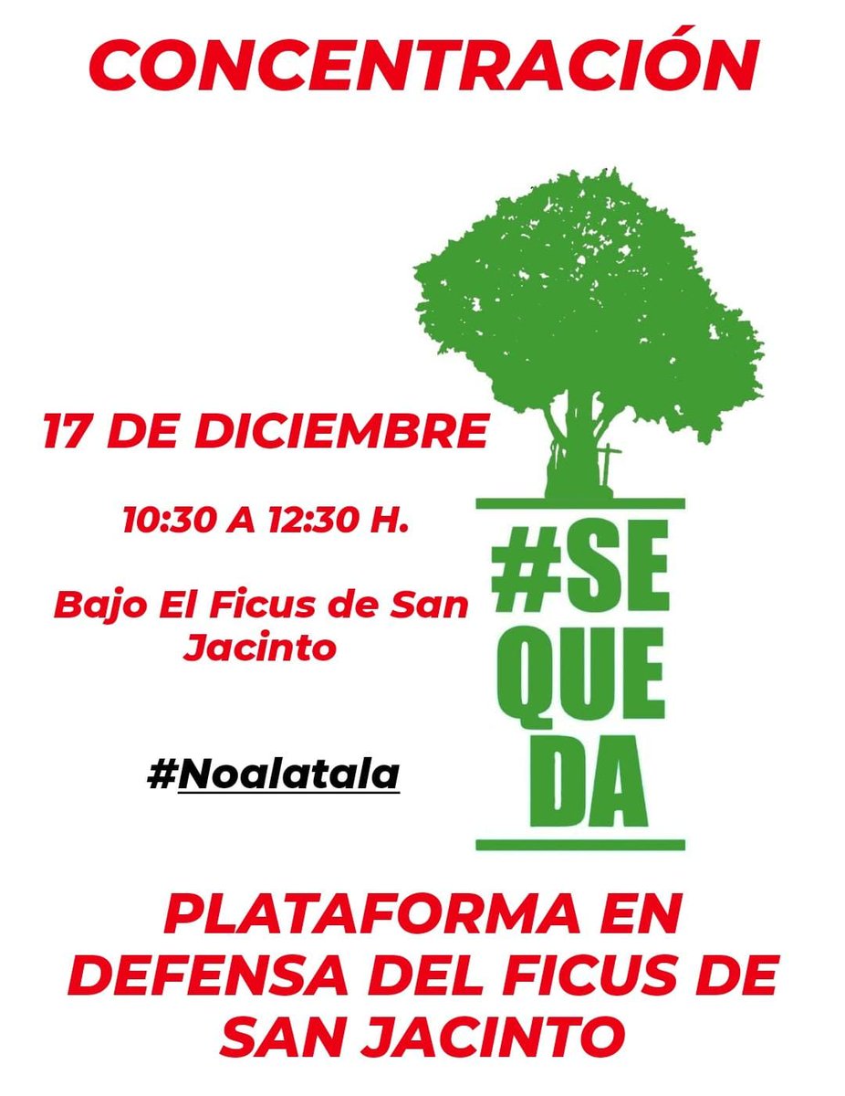 📢 CONCENTRACIÓN BAJO EL #FICUS EL #17D: Reclamamos al  <a href="/Ayto_Sevilla/">Ayuntamiento de Sevilla</a> la RETIRADA definitiva de la licencia de tala y MEDIDAS para preservar este árbol emblemático de nuestra ciudad.
📍 Bajo en #Ficus de San Jacinto.
🕙 Sábado 17 de diciembre, de 10:30-12:30h.
Os esperamos!! 🌳
