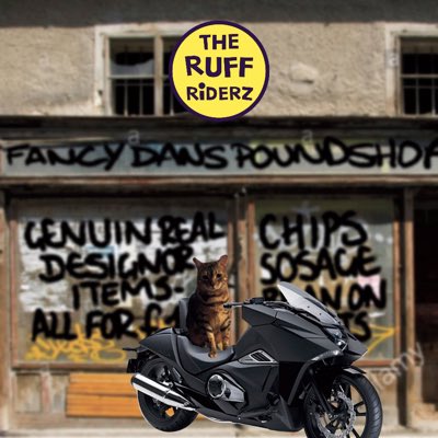 PiandNeko1's tweet photo. just goin down shop to get supplies for the Christmas ride, anyone want anything? #TeamBengal #FancyDans #MiddleAisleMadness #NewProfilePic https://t.co/iTP09x0C95