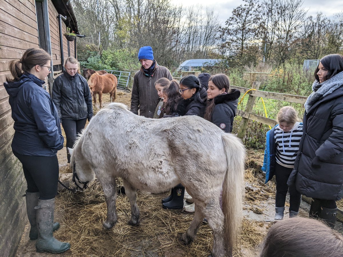 This week a new group of students started <a href="/shylowen/">Shy Lowen Sanctuary</a> . They met lots of horses and learnt a little about the horse sanctuary. <a href="/PleasantStPrim/">PleasantStreet</a>