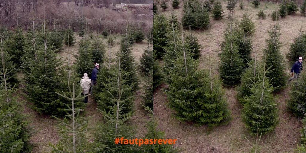 🎄🌲Savez vous comment bien choisir votre sapin de Noël et comment le conserver plus longtemps ? Voici les conseils des pros.
#fautpasrever #Noël #tradition   
france3-regions.francetvinfo.fr/normandie/sein…