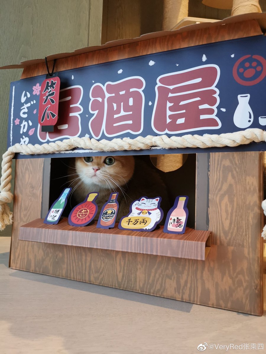 LayParaguay's tweet photo. 🐱221205 VeryRed张乘四 en weibo con #Lulu y #Luobo
“Es el día 54. Lulu y "Flor Amarilla" están esperando a que papá vuelva a casa.”
#LAY #张艺兴 #Yixing #레이 #LayZhang #ZhangYixing @layzhang @lay_studio https://t.co/ZTNYgC5QGG