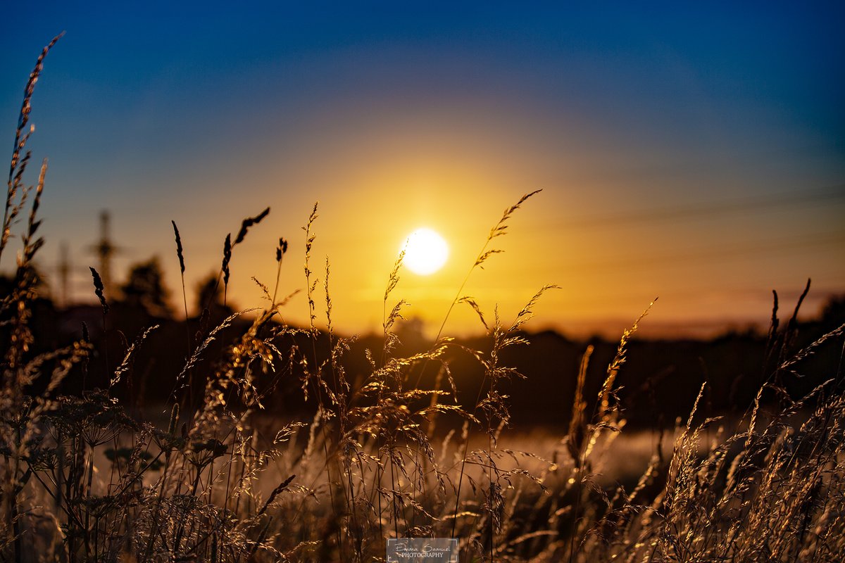 emmasamuelphoto's tweet photo. Gm! ☀️❤️ https://t.co/RBo5IgCk1t