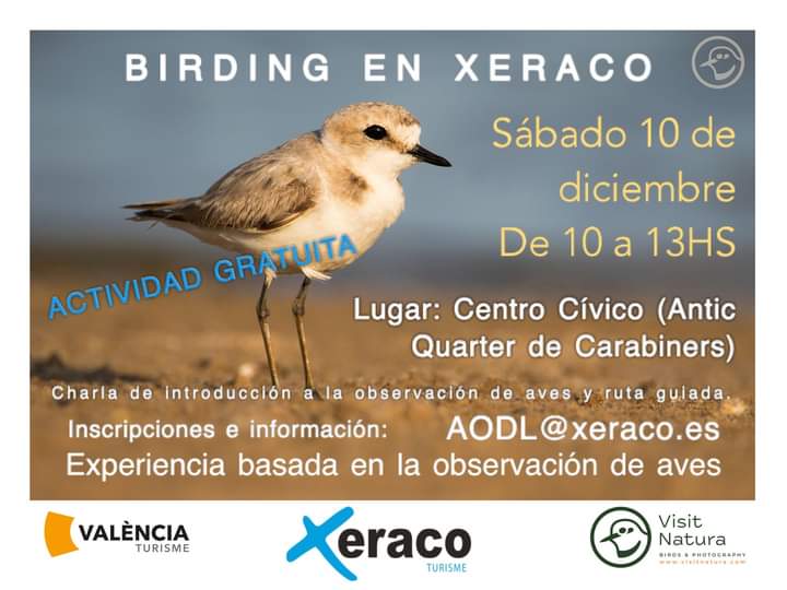 📣Birding en Xeraco
Xarra d'introducció a l'observació d'aus i ruta guiada.

👉Dissabte 10 de desembre, de 10h a 13h.
📍Lloc: Centre Cívic
✍️Inscripcions i informació: AODL@xeraco.es

😊Us esperem!

#saforturisme #xeracoturisme #visitnatura #birding #xeraco #valencia