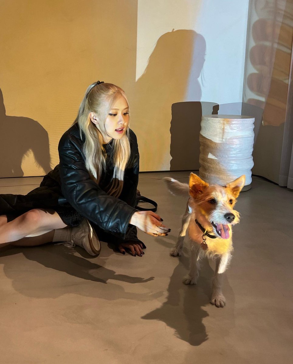࣪Rosie tweet media