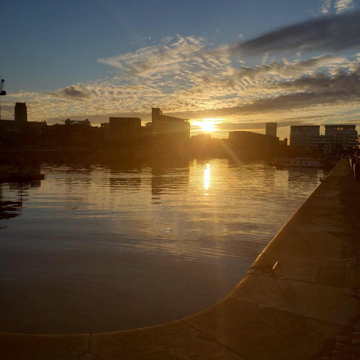 Another day in Liverpool for the #BSI22!
If you're interested in knowing how to detect and dissect cancer-reactive T-cells from clinical samples, please visit Poster 460 tonight! 😎