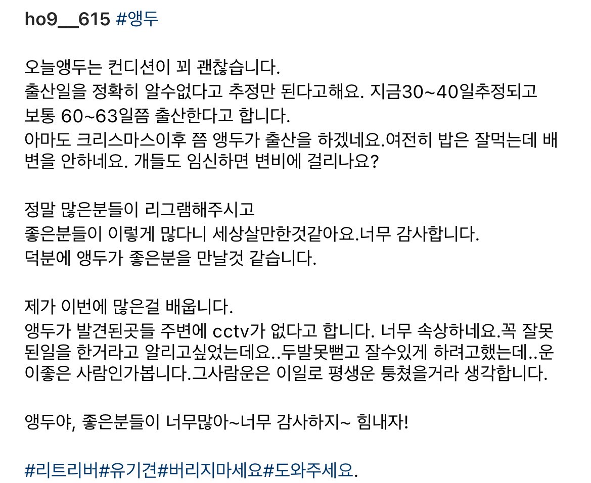 hongjo (@fast_kame) on Twitter photo 