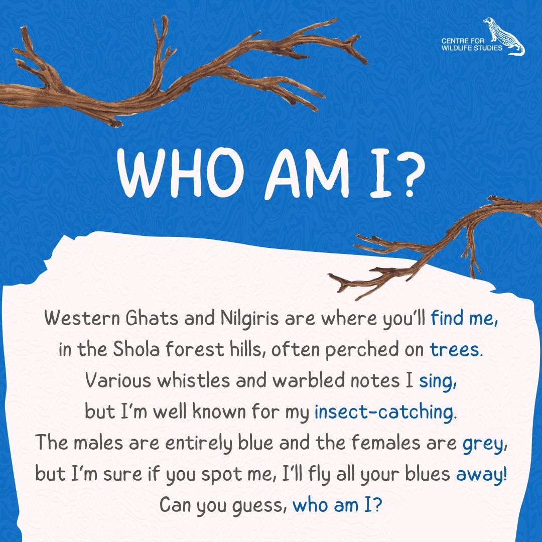 Who is this unique member of the #wild? Leave your guesses in the comments and we will pin the right ones! Keep an eye on our feed on Friday for the right answer to this #riddle!

#indianwildlife #wildlifequiz #conservation #wildlife  #learnsciencethefunway #westernghats