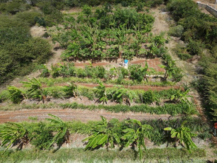 PrimeDAO (D2D) (@primedao_) on Twitter photo <a href="/Kolektivo/">Kolektivo</a> is building a toolkit for real-world #regenerative economies that leverage the latest Web 3.0 innovations.
The project has received grants from <a href="/daostack/">DAOstack</a>, <a href="/MakerDAO/">Maker is now Sky</a>, <a href="/Fuse_network/">Fuse Network</a>, <a href="/CeloOrg/">Celo</a>, <a href="/clim8collective/">Climate Collective</a>, and the Ministry of Economic Development of #Curacao. <a href="/Kolektivo/">Kolektivo</a> is building a toolkit for real-world #regenerative economies that leverage the latest Web 3.0 innovations.
The project has received grants from <a href="/daostack/">DAOstack</a>, <a href="/MakerDAO/">Maker is now Sky</a>, <a href="/Fuse_network/">Fuse Network</a>, <a href="/CeloOrg/">Celo</a>, <a href="/clim8collective/">Climate Collective</a>, and the Ministry of Economic Development of #Curacao.