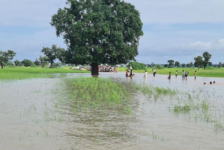 FAOWestAfrica's tweet photo. Urgent Call for action-Floods 2022 
5.5 Million people have been affected by floods
across West Africa &amp; Sahel
@FAO needs USD 50 million for urgent support to rehabilitate agric. livelihoods of communities affected by floods during the 2022 rainy season
👉🏽https://t.co/Y1FUFl0a2s https://t.co/WE2MxT5uQs