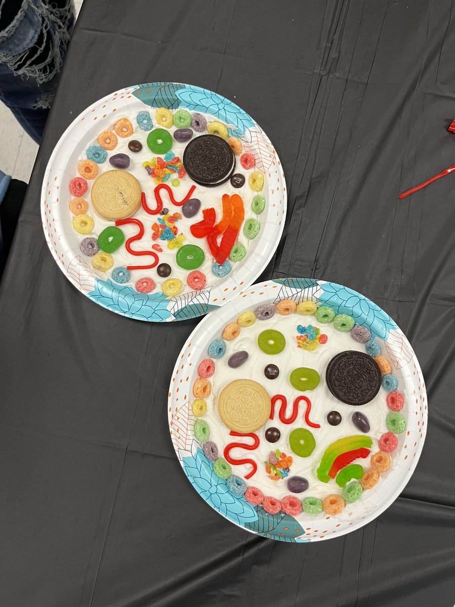 WhiteHouseMiddle tweet media