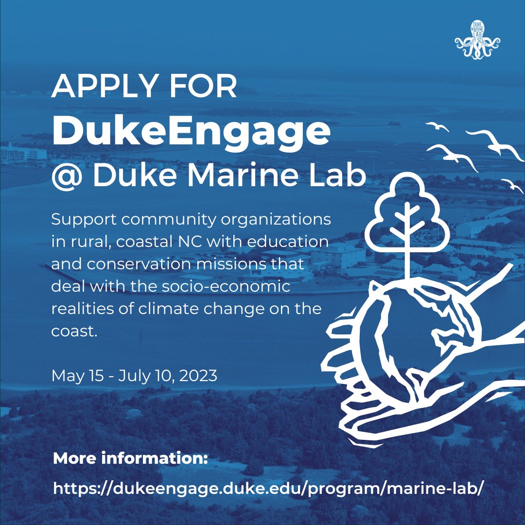 DUML Community Sci (@dumlcommunity) on Twitter photo Calling all Duke undergrads! Join <a href="/dumlcommunity/">DUML Community Sci</a> for a summer of service @dukemarinelab! Support local conservation and community organizations on the coast and make a difference! Calling all Duke undergrads! Join <a href="/dumlcommunity/">DUML Community Sci</a> for a summer of service @dukemarinelab! Support local conservation and community organizations on the coast and make a difference!