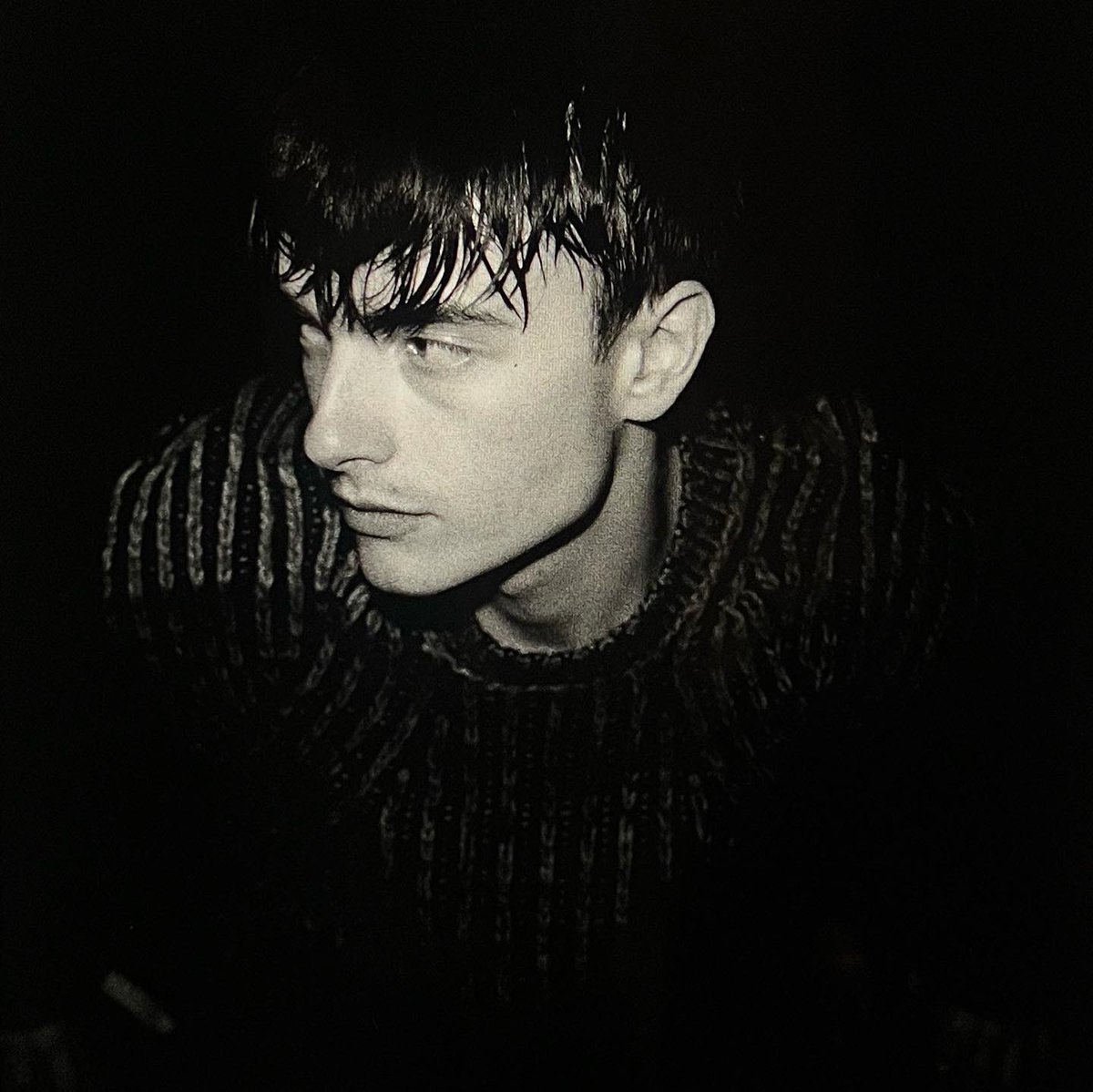 Dylan Fraser tweet media