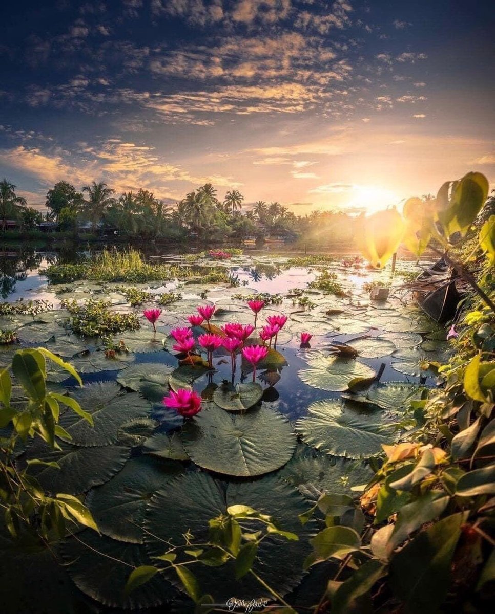 francesca4967's tweet image. Come va il tuo caos vitale?
Non riordinarlo troppo, perché allora ti sparirà anche l’interesse alla vita. 
Tienilo giudiziosamente a mezz’acqua
C. Pavese

 #DicembreDAmare #PoesiePerLasera  #VentagliDiParole