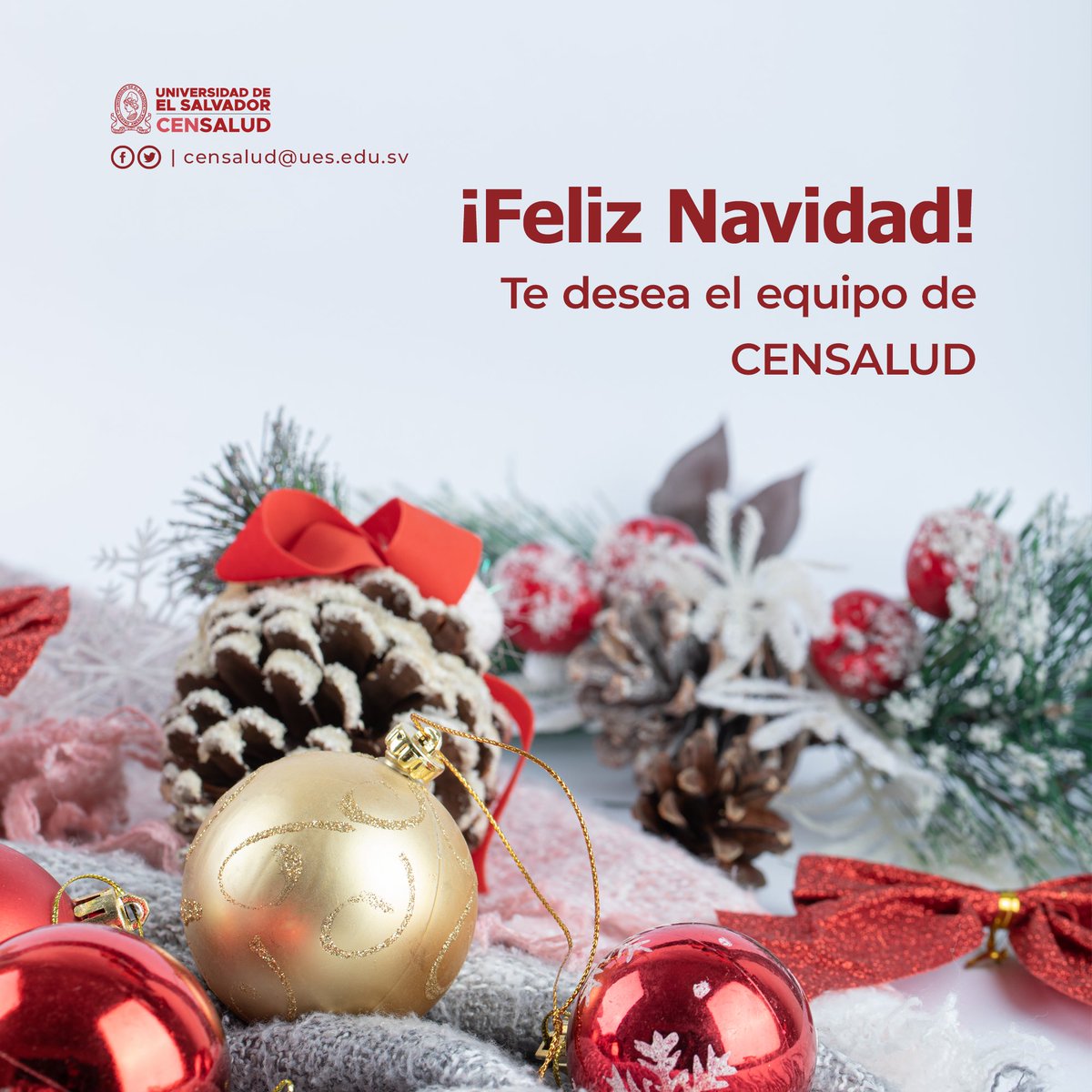 CensaludUES's tweet photo. Que esta Navidad sea brillante, traiga alegría, amor y encienda un período lleno de luz y esperanza.

¡Feliz Navidad te desea #CENSALUD! https://t.co/HN9kVlx7Hl
