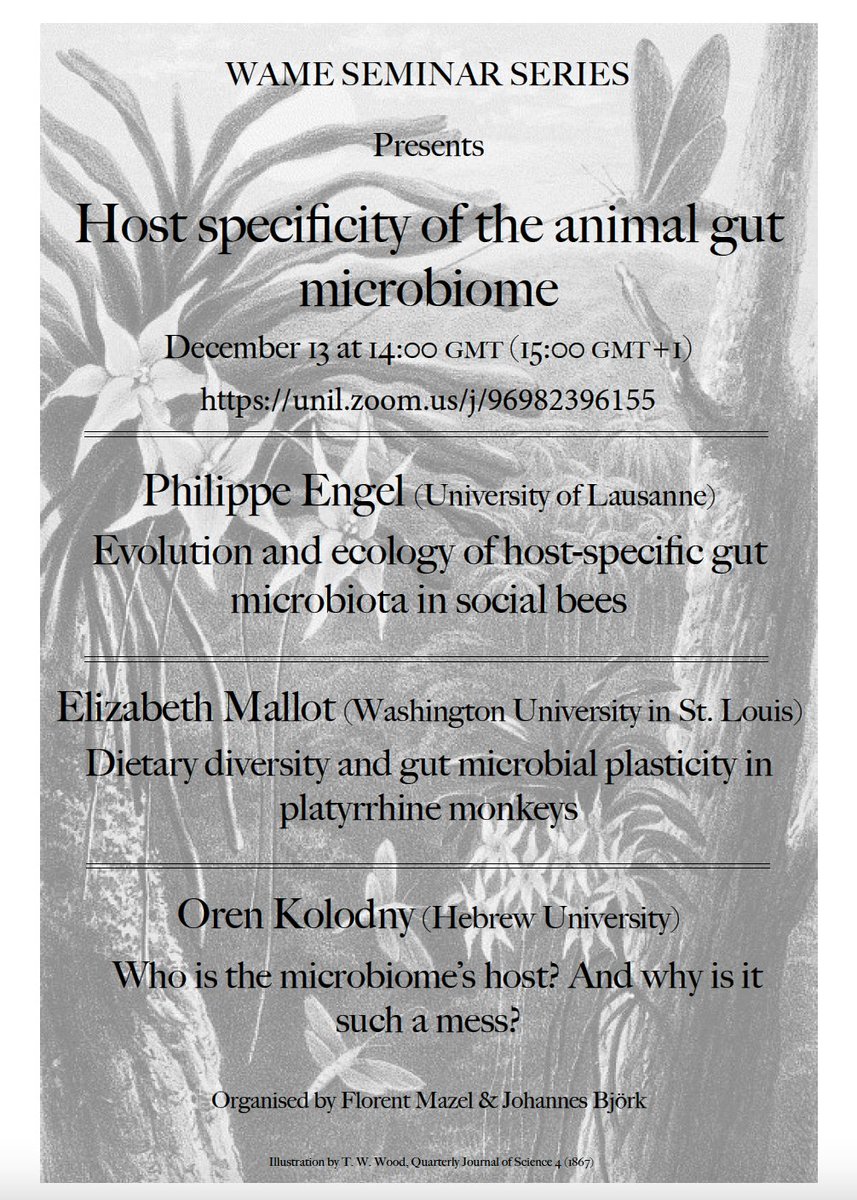 Sarah CL Knowles (@sclknowles) on Twitter photo Online <a href="/stn_wame/">WAME STN</a> seminar next week on host specificity in animal gut microbiomes. Fab speaker line-up feat. <a href="/PEngellab/">Philipp Engel</a> <a href="/orenkolodny/">oren kolodny</a> and Liz Mallott. Do come along! Online <a href="/stn_wame/">WAME STN</a> seminar next week on host specificity in animal gut microbiomes. Fab speaker line-up feat. <a href="/PEngellab/">Philipp Engel</a> <a href="/orenkolodny/">oren kolodny</a> and Liz Mallott. Do come along!