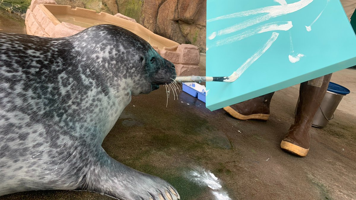 Art Gone Wild is a BPZOO holiday tradition that showcases original artwork created by our talented animals. The online auction is running now through December 15th and includes over 35 one-of-a-kind animal paintings! Let the friendly bidding begin 🎨🖌 events.handbid.com/auctions/art-g…