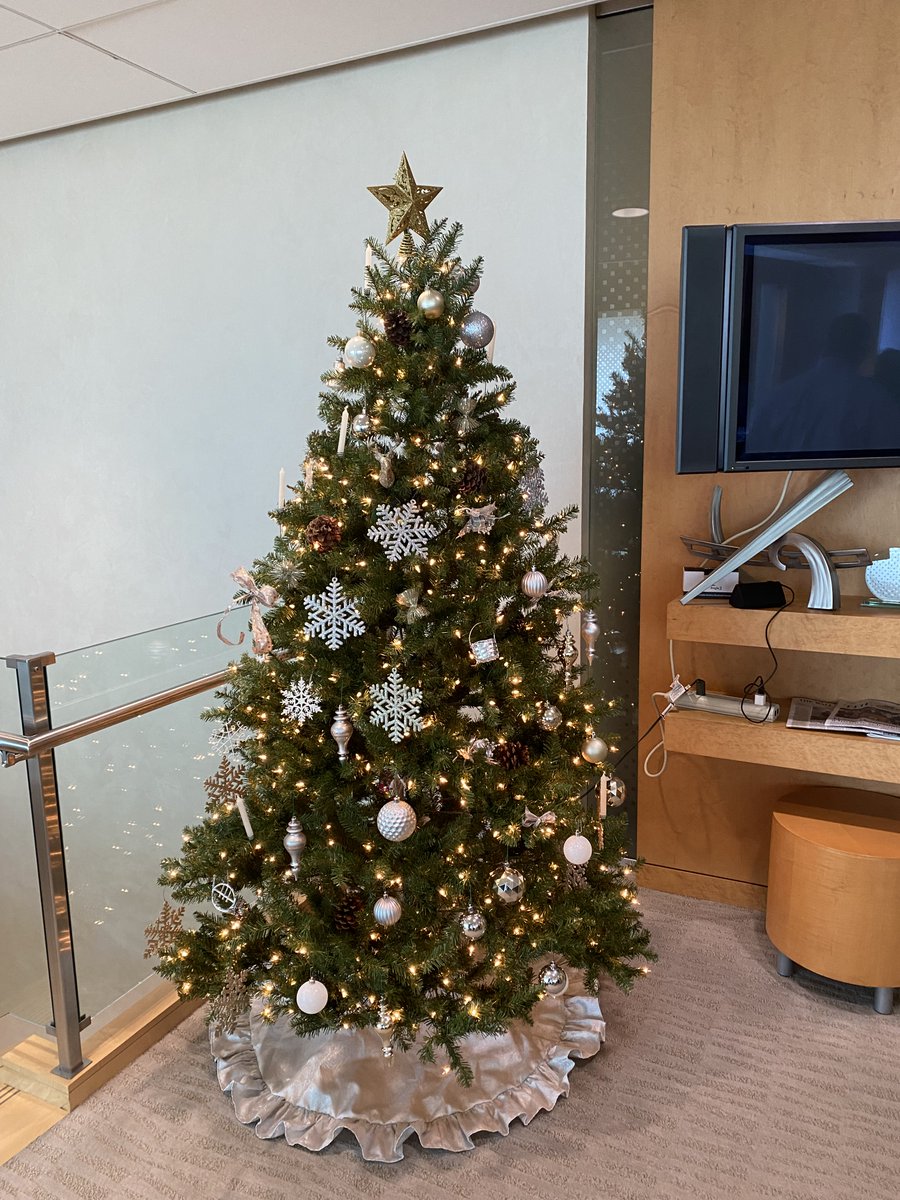 COPTCareers's tweet photo. COPT kicked off the holiday season with our annual Tree lighting and decorating event! Team members stopped by to hang some ornaments, grab a coffee, and some yummy festive treats ☺️ Happy Holidays everyone! https://t.co/qjgSLSC3I5