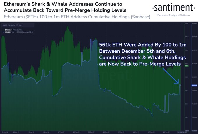 Ethereum Bullish Signal: Whales And Sharks Continue To Add To Their Holdings