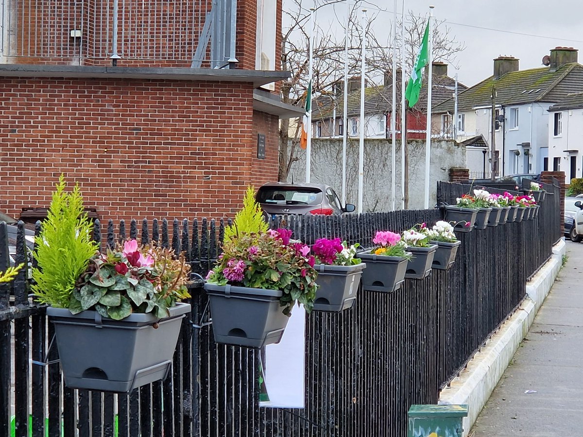 Planters built, painted, filled and planted. Thanks to all the volunteers, neighbours and suppliers who worked together to make this project at Scoil Íosagáin such a success.  Go Crumlin!

More photos and info here: crumlincommunitycleanup.ie/bloomin-crumli…