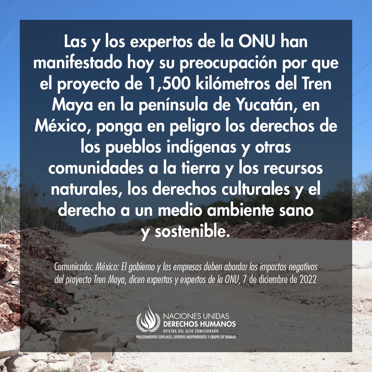ONUDHmexico's tweet photo. 📰📢 México: El gobierno y las empresas deben abordar los impactos negativos del proyecto Tren Maya, dicen expertas y expertos de la ONU

➡️ https://t.co/bON4uBjq1r https://t.co/rY5psKSkeD