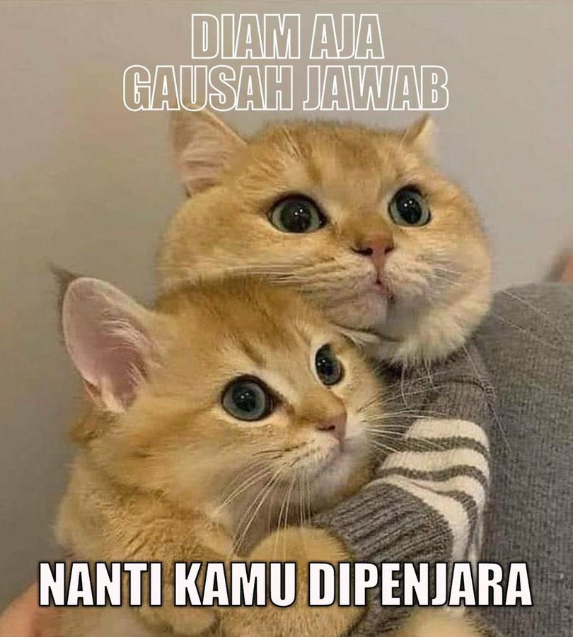 “kak” Kaesang tweet media