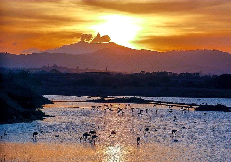 Il fascino dei fenicotteri della Riserva delle Saline di #Trapani
al tramonto.

#NelLibroDellaVita
#CasaLettori

📸Salvatore Tuzzolino