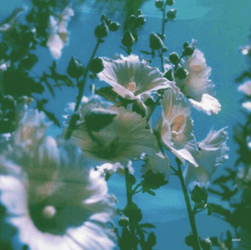 sycamoretree_1's tweet photo. THIS ERA ITS GONNA SERVE I JUST KNOW MY GOD https://t.co/aDkQVynaSQ