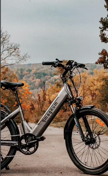 plus_ebike tweet picture