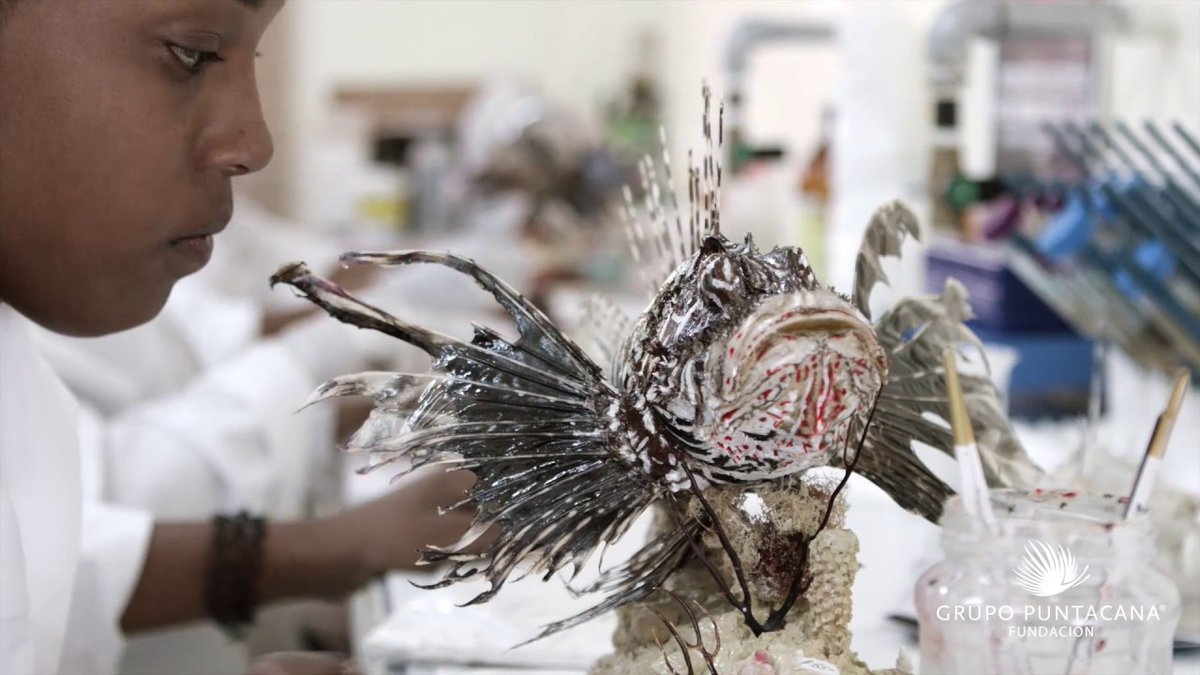 youtu.be/QfkHThey17A