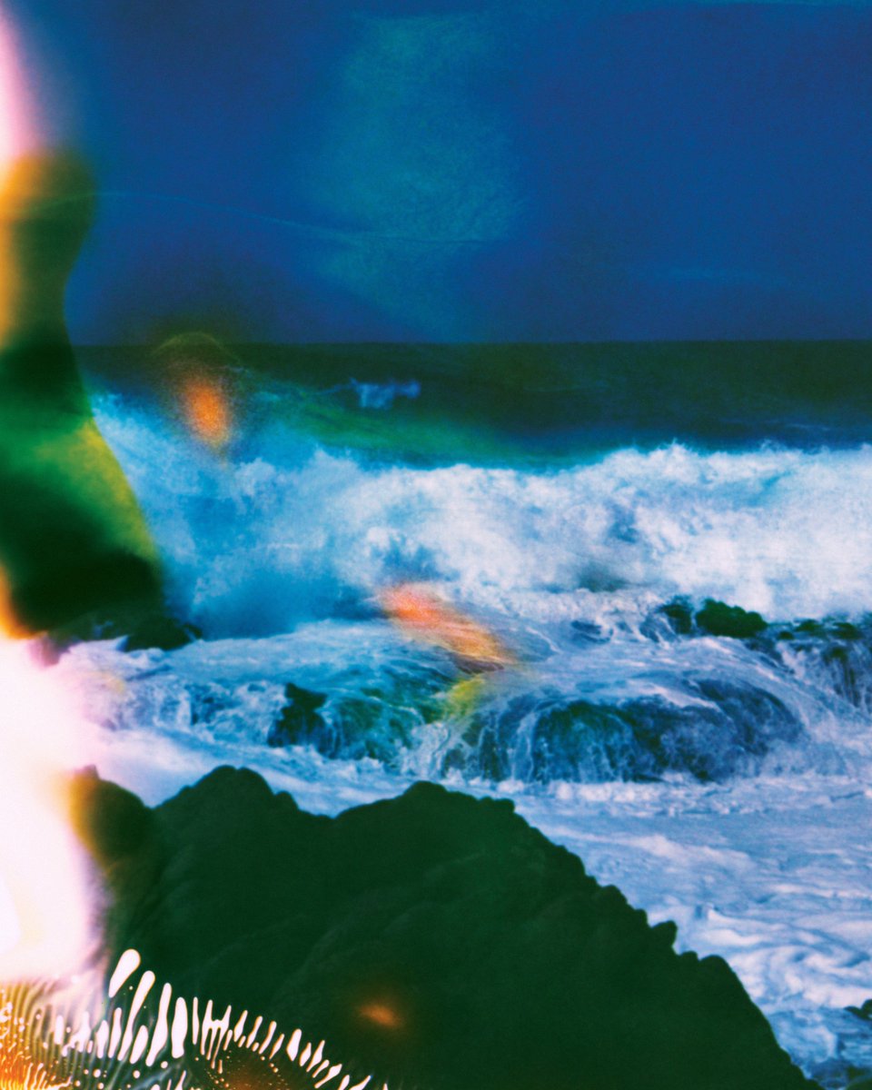 Neil Krug tweet media