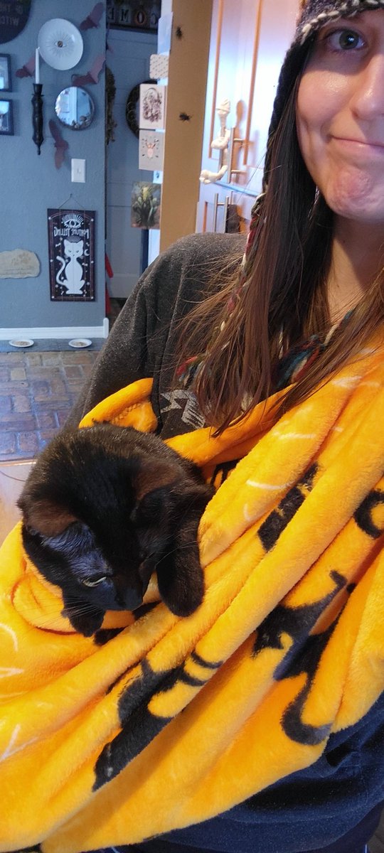 tarabyte3's tweet photo. I was standing in the kitchen and not holding October because I needed my hands, so she jumped onto my back from the floor. Because when Toby really wants to be held, she just throws herself at you and makes it your problem. I found a solution. #CatsOfTwitter https://t.co/k9mAL3qG4z