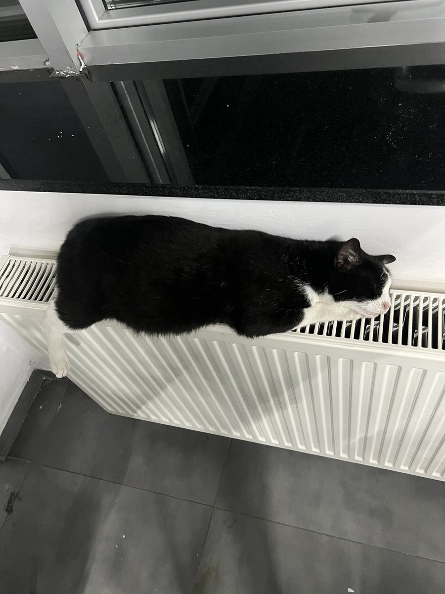 Şu kadar rahat olsam yeter