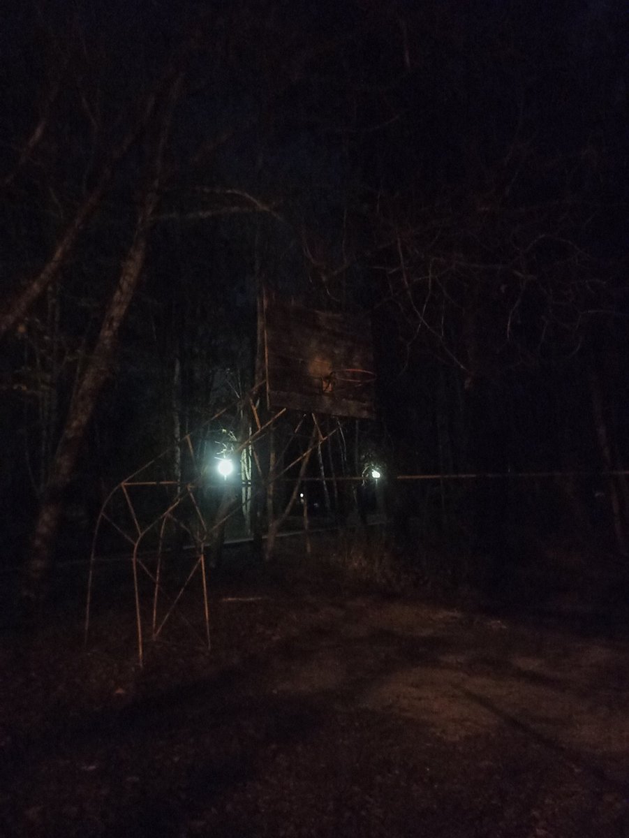 august_of_wolf's tweet photo. Весь день травить друзьям байки про то что в местном институте океанологии проводятся эксперименты над мутантами:😁✨🥰🤩💫🤩😋

И вечером же пойти через этот институт домой:💀☠️👹💀 https://t.co/6Eksvt3An2