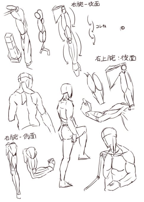 練習71日目
マイケル・ハンプトンの人体の描き方の模写 