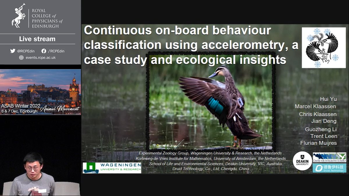 Jason Gilchrist tweet media