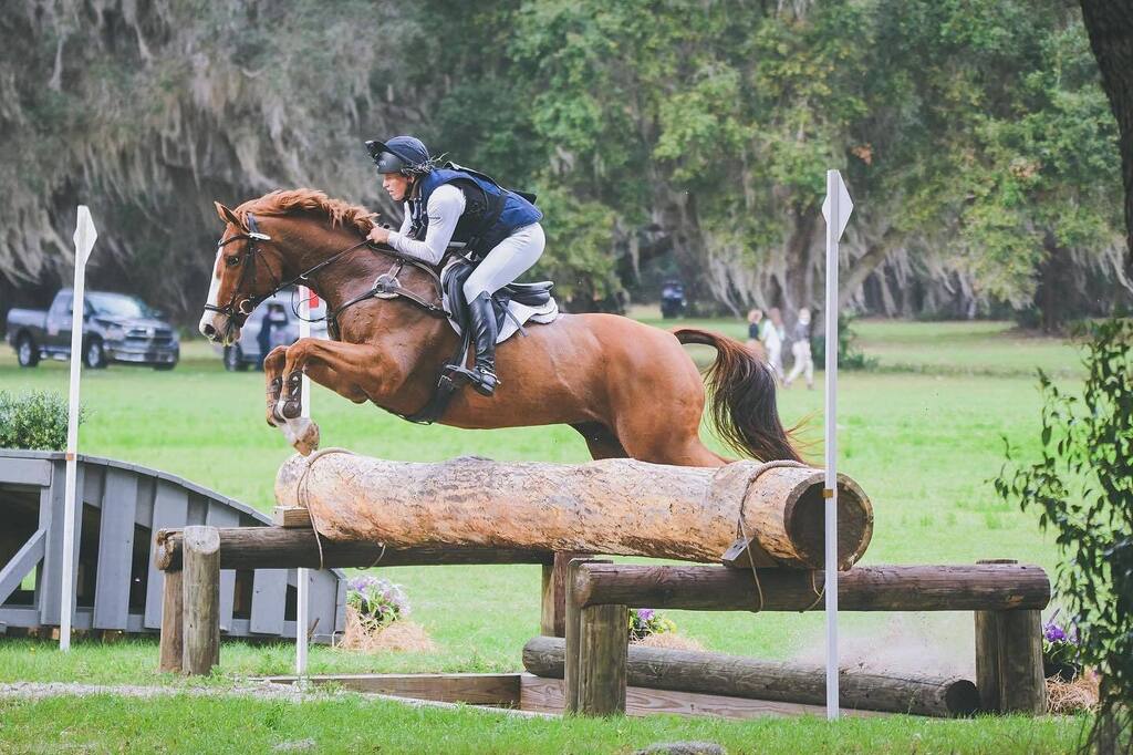 WallaceEventing's tweet photo. ⭐️CCI 2 STAR WINNER⭐️
 
#SharpDecision 2011 16.2 tb gelding. Experienced 3star horse ready to show someone the ropes. 

Sharpie is a war horse through and through. He loves to show up for work. Very consistent and well trained on the flat, scoring low 30… https://t.co/LTHZMiBftH https://t.co/FgKAxuItPp