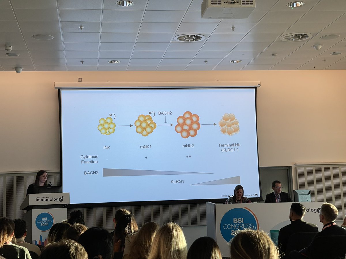 Sarah Whiteside (@sarahkwhiteside) on Twitter photo Another great talk from <a href="/CImianowski/">Charlotte Imianowski</a> describing the importance of BACH2 in NK cell maturation and function βοΈ #BSI22 <a href="/RoychoudhuriLab/">Roychoudhuri Lab</a> represent! πͺπ»πͺπ» Another great talk from <a href="/CImianowski/">Charlotte Imianowski</a> describing the importance of BACH2 in NK cell maturation and function βοΈ #BSI22 <a href="/RoychoudhuriLab/">Roychoudhuri Lab</a> represent! πͺπ»πͺπ»