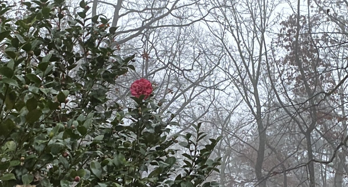 Gabriel Sterling tweet media