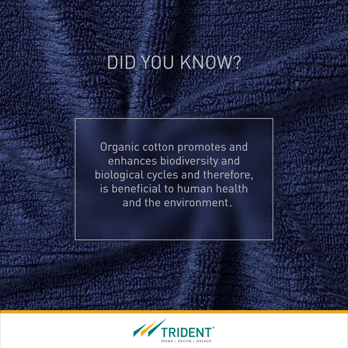 TridentGroupGLB's tweet photo. Trident's exclusive category of sustainably made towels from Earth Lover have been made from the choicest handpicked organic cotton specifically designed and made for the good health of your skin.
#HomeTextile #bathlinen #towels #bath https://t.co/DDrvDUFQYP