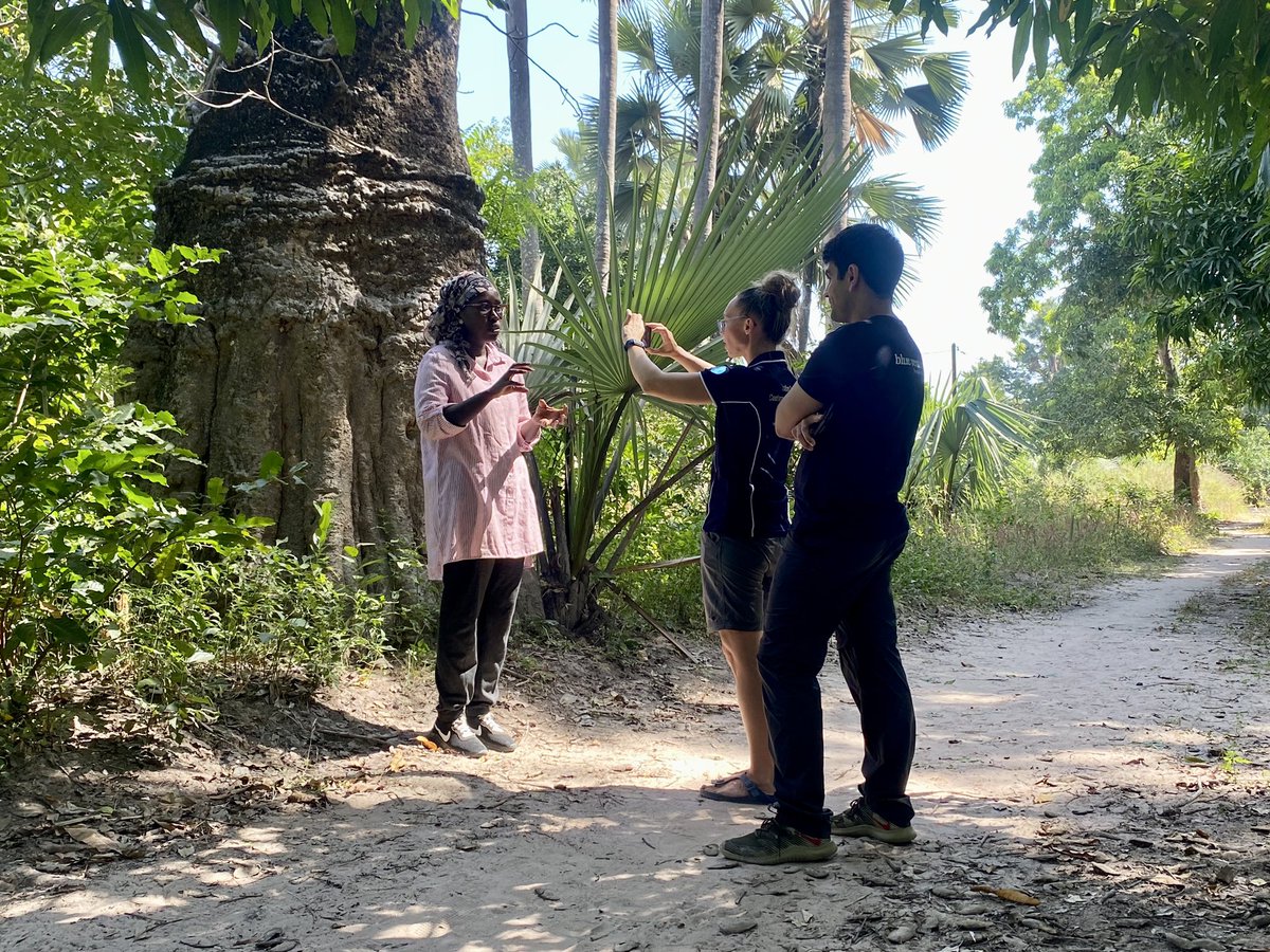 bouckap's tweet photo. #blueventures team interviewing community #conservation leaders in #casamance #Senegal about their work in #mangrove restoration &amp; management. Working w local communities starts with listening 2 them first. https://t.co/b0zkUCbCXV