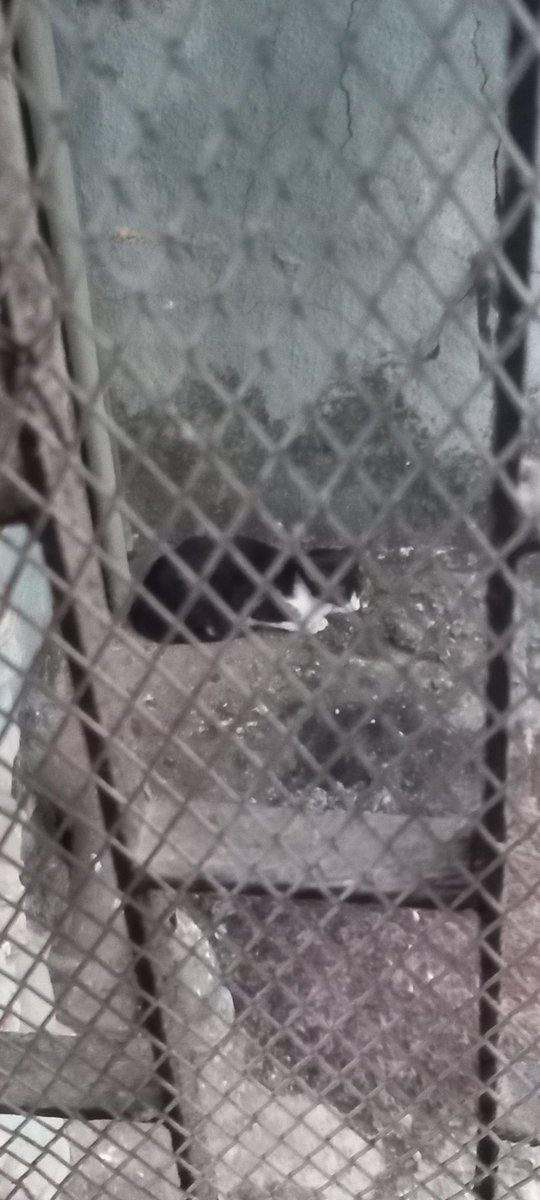 yadramthakur1's tweet photo. A cat climbed to our fourth floor wall. We are trying to rescue him since morning, but he is too scared to respond. Is it possible that you could rescue the cat. @mybmc @bmcmumbai Please help us. https://t.co/XZTl3r2xrT