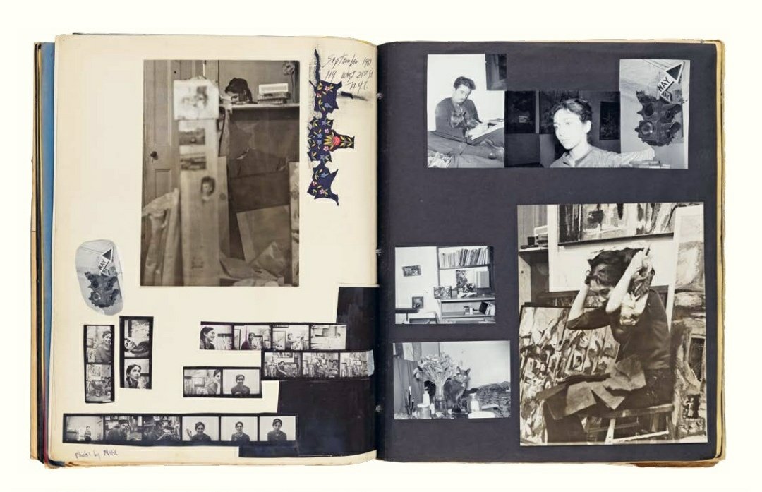 Itching to write about Carolee Schneemann's intimate and engrossing Life Books but have also realised that this would require a trip to her archives in LA and New York. What. A. Shame.