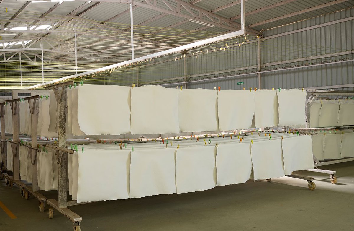 supriyasahuias's tweet photo. Shakthivel's love for trees led to an incredible technological invention which makes textile paper from 100% cotton waste so no need to cut trees. This is really the best use of tonnes of textile waste.We will listen to his story in the #TNClimateSummit2022 
#TNClimateMission https://t.co/IrUhrfWEsp