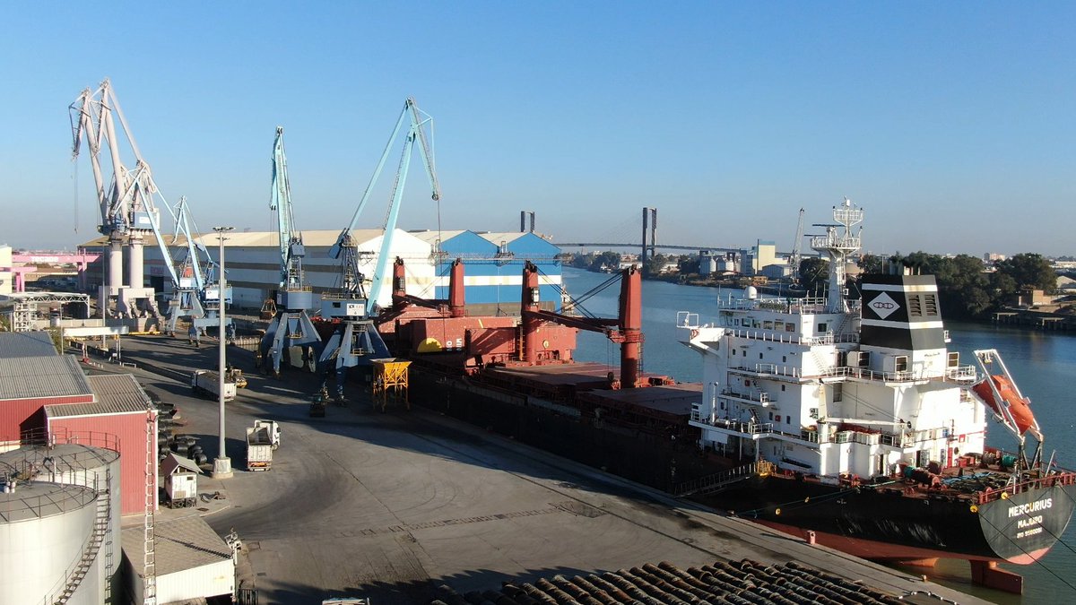 SevillaInsolita's tweet photo. Sevilla tiene el único puerto marítimo de interior de España, el cual genera más de 20.000 puestos de trabajo directos e indirectos.

Este fin de semana la empresa estibadora @LSevitrade  ha operado con un buque mercante de 180 metros de eslora y 30 de ancho. https://t.co/XA49Jtejc8
